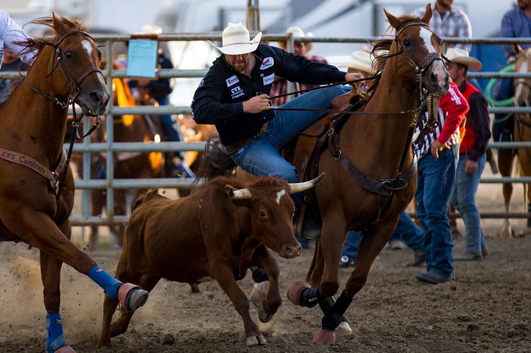 PRCA Yellowstone River Roundup